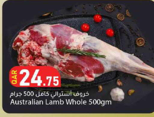 available at دانا ماركت in قطر - الشمال