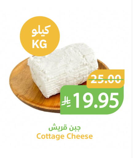 available at Qateba Markets in KSA, Saudi Arabia, Saudi - Buraidah