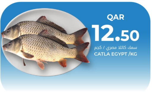 available at Grand Hypermarket in Qatar - Al Rayyan