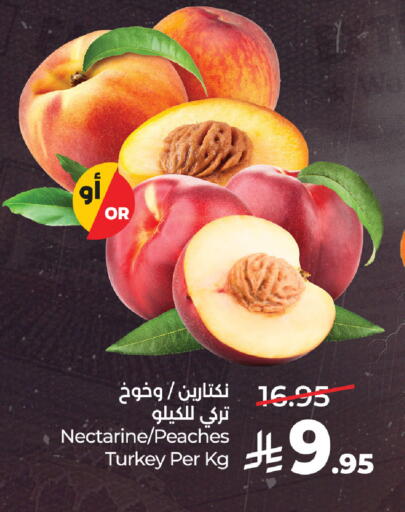 Nectarine from Turkey available at LULU Hypermarket in KSA, Saudi Arabia, Saudi - Al Khobar