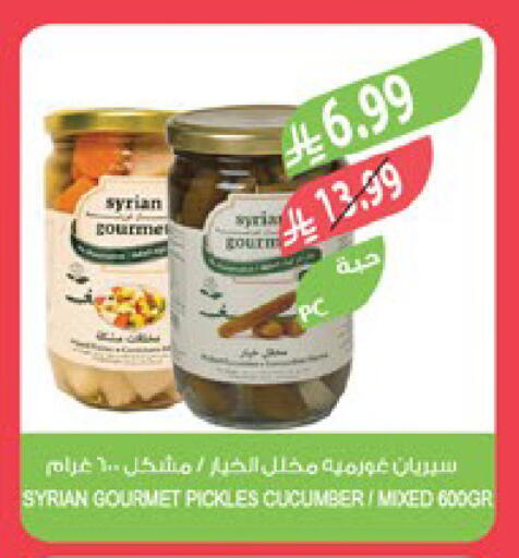 Cucumber available at Farm  in KSA, Saudi Arabia, Saudi - Al-Kharj