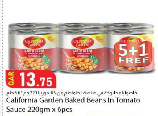 Tomato available at دانا ماركت in قطر - الوكرة