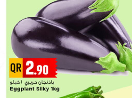 Eggplant available at مرزا هايبرماركت in قطر - الدوحة