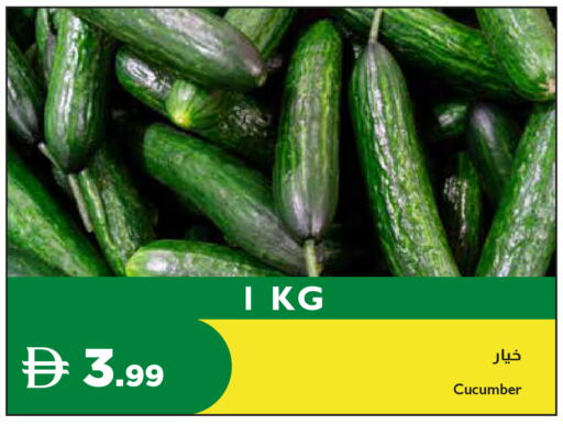 Cucumber available at إسطنبول سوبرماركت in الإمارات العربية المتحدة , الامارات - رَأْس ٱلْخَيْمَة