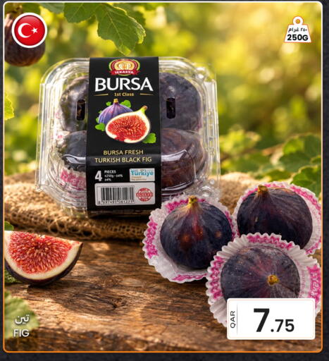 Fig available at البلدي اليوم in قطر - الشحانية