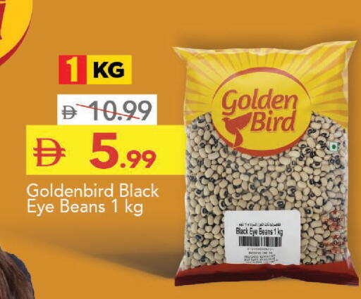 Date available at مارك & سيف in الإمارات العربية المتحدة , الامارات - دبي
