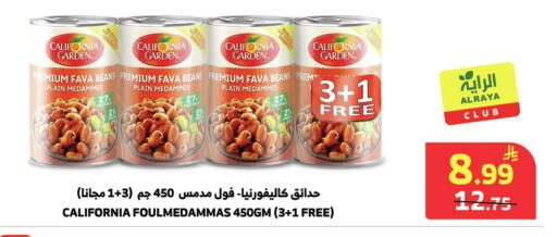available at الراية in مملكة العربية السعودية, السعودية, سعودية - المدينة المنورة