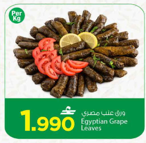 available at مارك & سايف in عُمان - مسقط‎