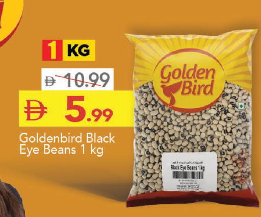Date available at مارك & سيف in الإمارات العربية المتحدة , الامارات - دبي