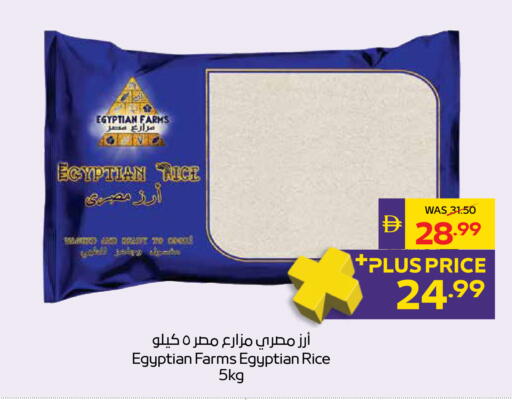 available at أدكووب in الإمارات العربية المتحدة , الامارات - رَأْس ٱلْخَيْمَة