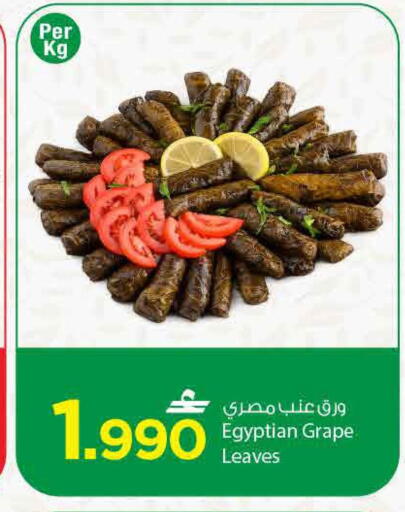 available at مارك & سايف in عُمان - مسقط‎