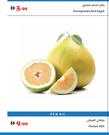 Pomegranate from Egypt available at Trolleys Supermarket in UAE - Dubai