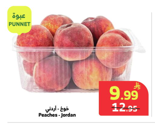 available at Al Raya in KSA, Saudi Arabia, Saudi - Tabuk