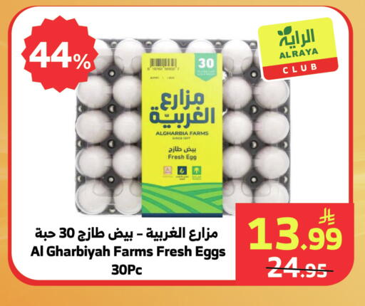 available at الراية in مملكة العربية السعودية, السعودية, سعودية - المدينة المنورة