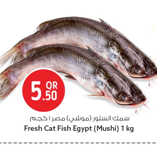 available at Safari Hypermarket in Qatar - Al-Shahaniya