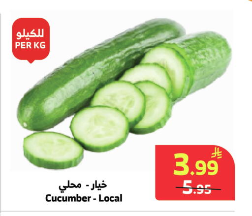 Cucumber available at Al Raya in KSA, Saudi Arabia, Saudi - Medina