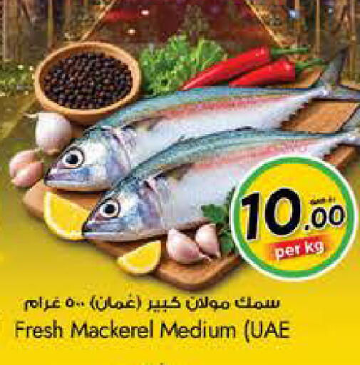 available at نـسـتـو in قطر - أم صلال