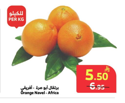 available at الراية in مملكة العربية السعودية, السعودية, سعودية - المدينة المنورة