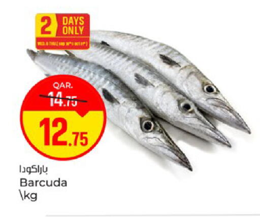 available at باريس هايبرماركت in قطر - الريان