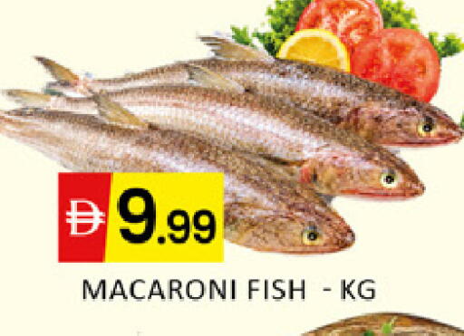 Mango available at Mango Hypermarket LLC in UAE - Dubai