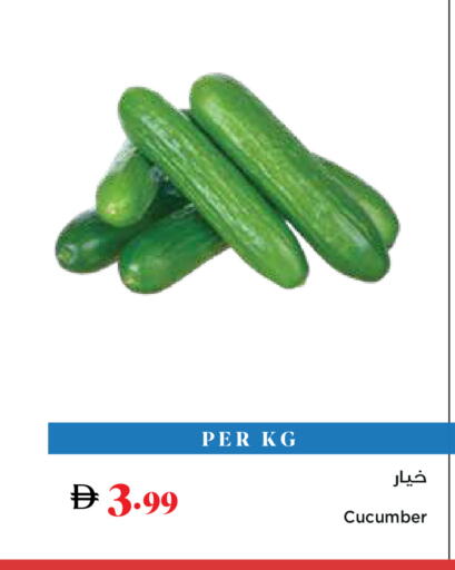 Cucumber available at تروليز سوبرماركت in الإمارات العربية المتحدة , الامارات - دبي