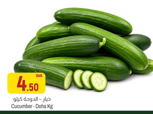 Cucumber from Qatar available at Aswaq Al Malaki Fresh in Qatar - Al Shamal