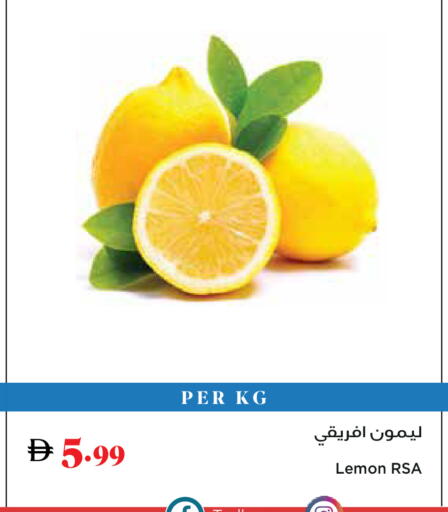 Lemon available at Trolleys Supermarket in UAE - Dubai
