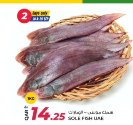 available at روابي هايبرماركت in قطر - أم صلال