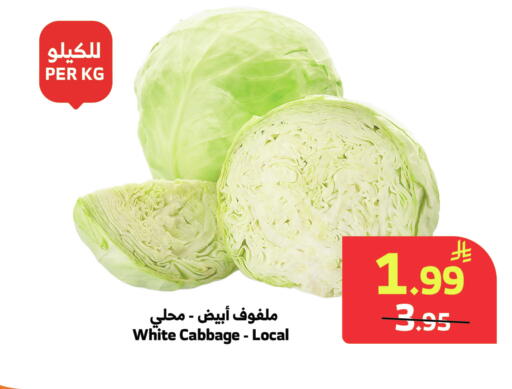 Cabbage available at Al Raya in KSA, Saudi Arabia, Saudi - Medina