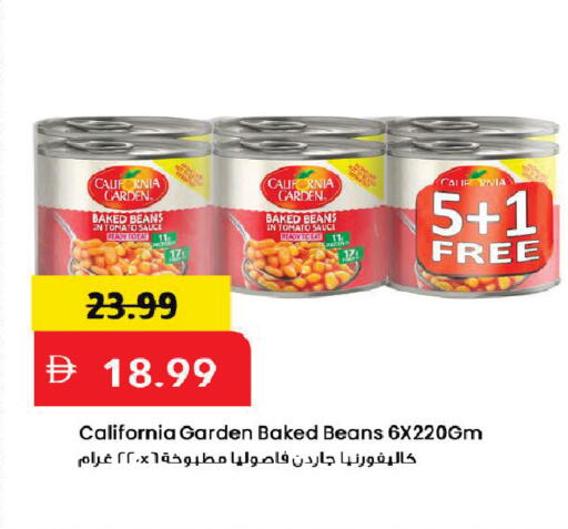 Tomato available at مارك & سيف in الإمارات العربية المتحدة , الامارات - دبي