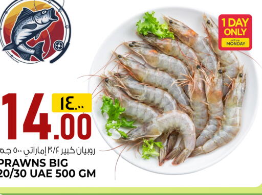 available at السعودية in قطر - الريان
