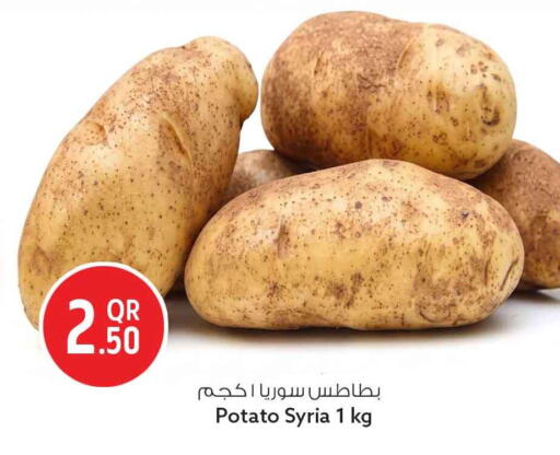 Potato from Syria available at سفاري هايبر ماركت in قطر - الشحانية