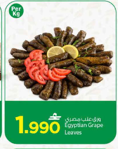 available at مارك & سايف in عُمان - مسقط‎