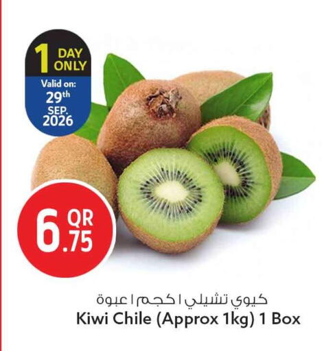 Kiwi from Chile available at سفاري هايبر ماركت in قطر - الضعاين