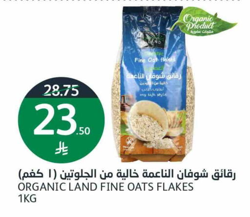 available at أسواق الجزيرة in مملكة العربية السعودية, السعودية, سعودية - الرياض