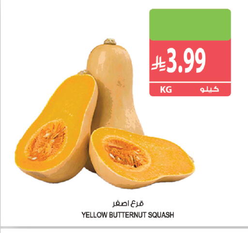 Squash available at المزرعة in مملكة العربية السعودية, السعودية, سعودية - الخرج
