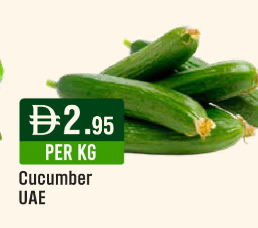 Cucumber available at ويست زون سوبرماركت in الإمارات العربية المتحدة , الامارات - دبي