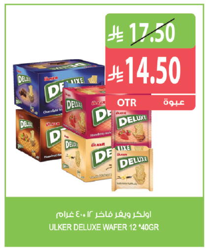 Strawberry available at Farm  in KSA, Saudi Arabia, Saudi - Al Khobar