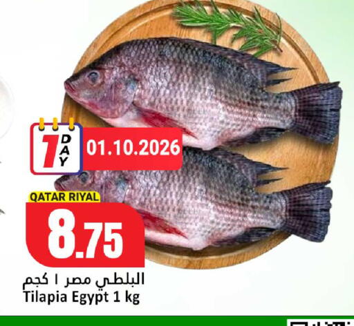 available at دانة هايبرماركت in قطر - الريان