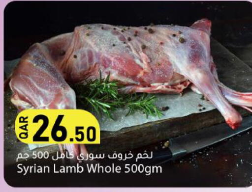 available at دانا ماركت in قطر - الدوحة