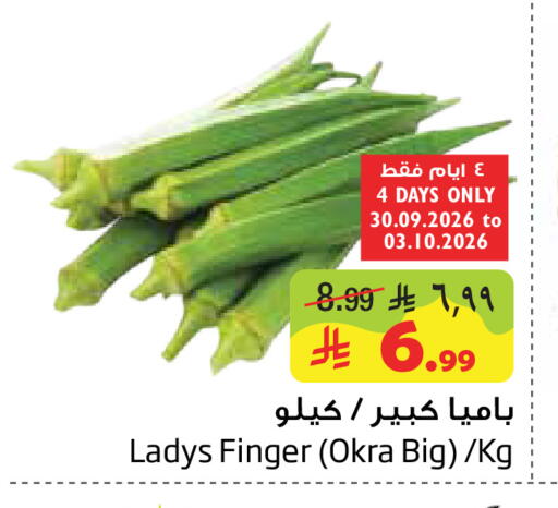 Okra available at Layan Hyper in KSA, Saudi Arabia, Saudi - Al Khobar