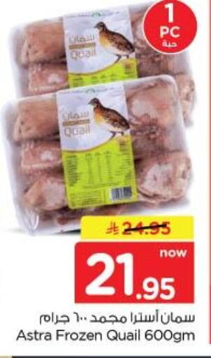 available at نستو in مملكة العربية السعودية, السعودية, سعودية - الخبر‎