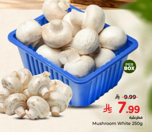 Mushroom available at هايبر الوفاء in مملكة العربية السعودية, السعودية, سعودية - الخرج