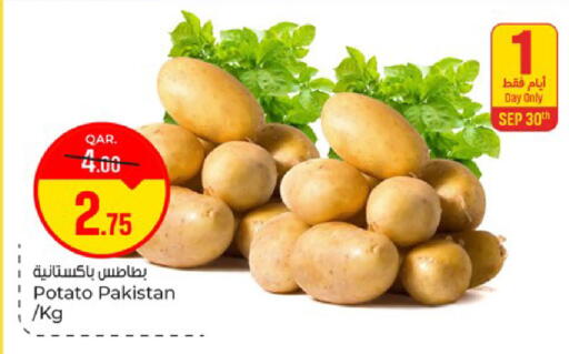 Potato from Pakistan available at باريس هايبرماركت in قطر - الشحانية