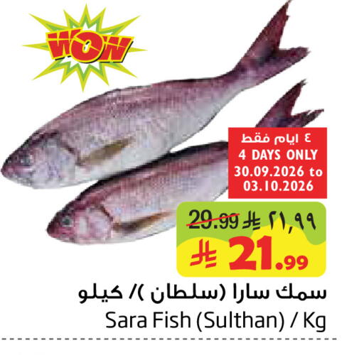 available at Layan Hyper in KSA, Saudi Arabia, Saudi - Al Khobar
