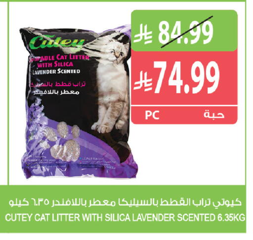 available at Farm  in KSA, Saudi Arabia, Saudi - Al Khobar