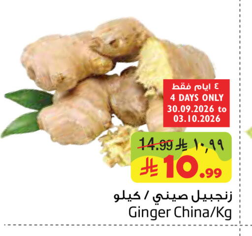 Ginger from China available at Layan Hyper in KSA, Saudi Arabia, Saudi - Al Khobar