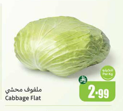 Cabbage available at Othaim Markets in KSA, Saudi Arabia, Saudi - Medina