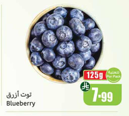 Blueberry BlueBerry available at Othaim Markets in KSA, Saudi Arabia, Saudi - Medina