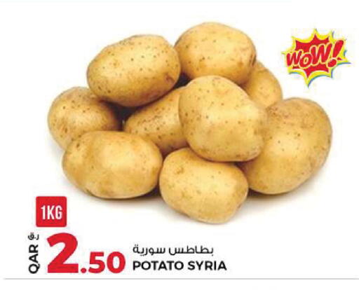 Potato from Syria available at Rawabi Hypermarket in Qatar - Al Daayen